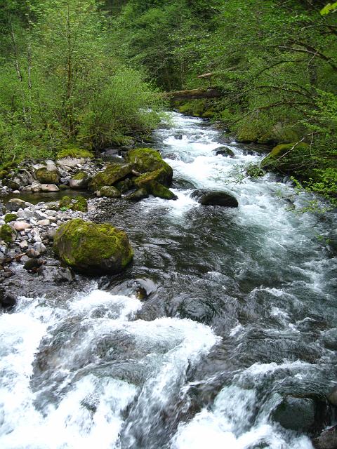 Eagle Creek-142.JPG - Eagle Creek